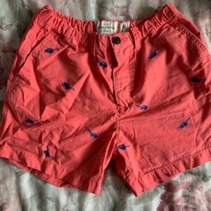 Abercrombie & Fitch Shorts (Medium)